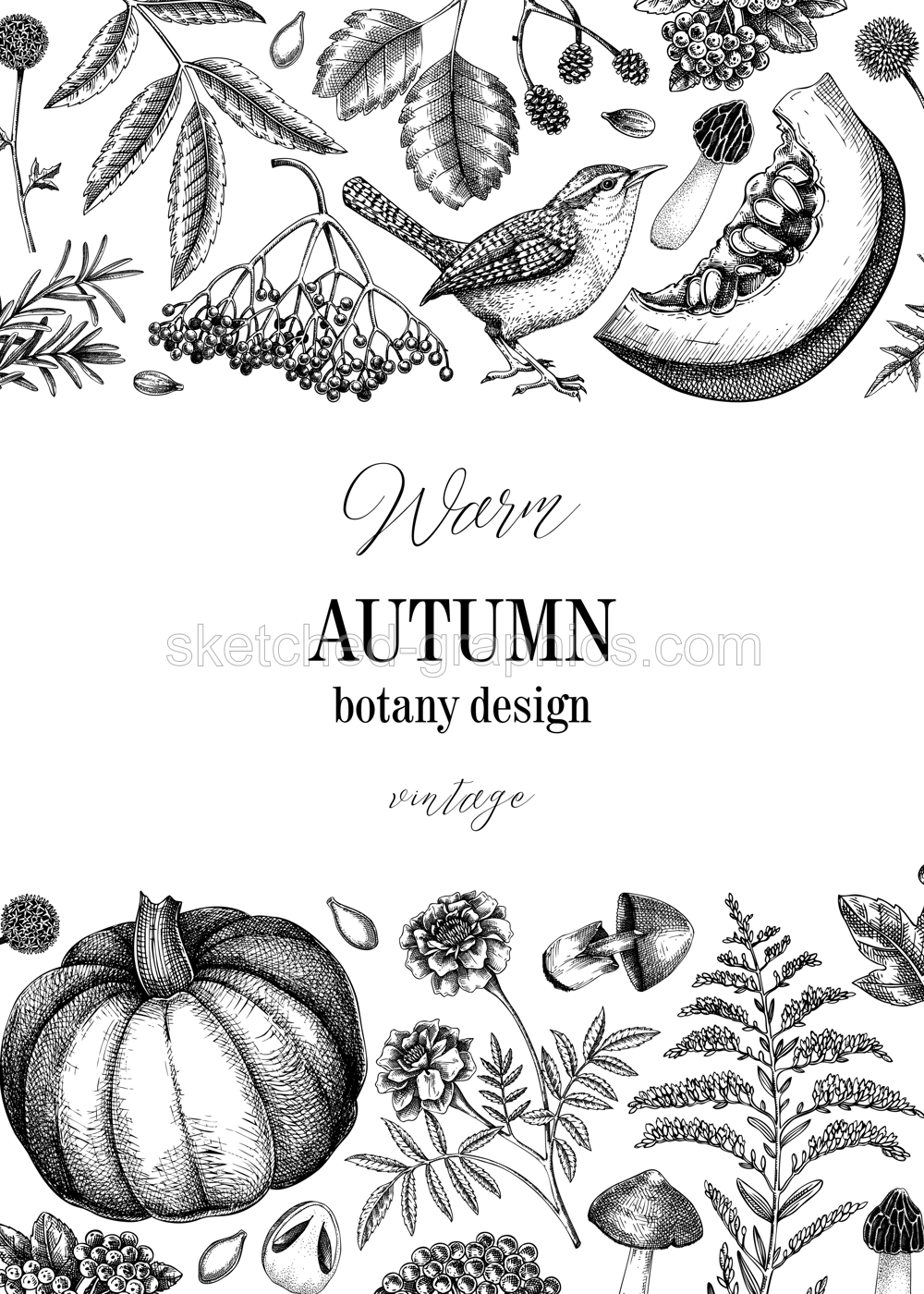 Vintage autumn frame design. Thanksgiving background. Fall leaves, pumpkins, berries, mushrooms sketches. Hand-drawn vector illustration. NOT AI generated Illustration